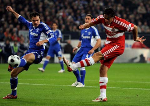 贡献了大量 贡献了大量